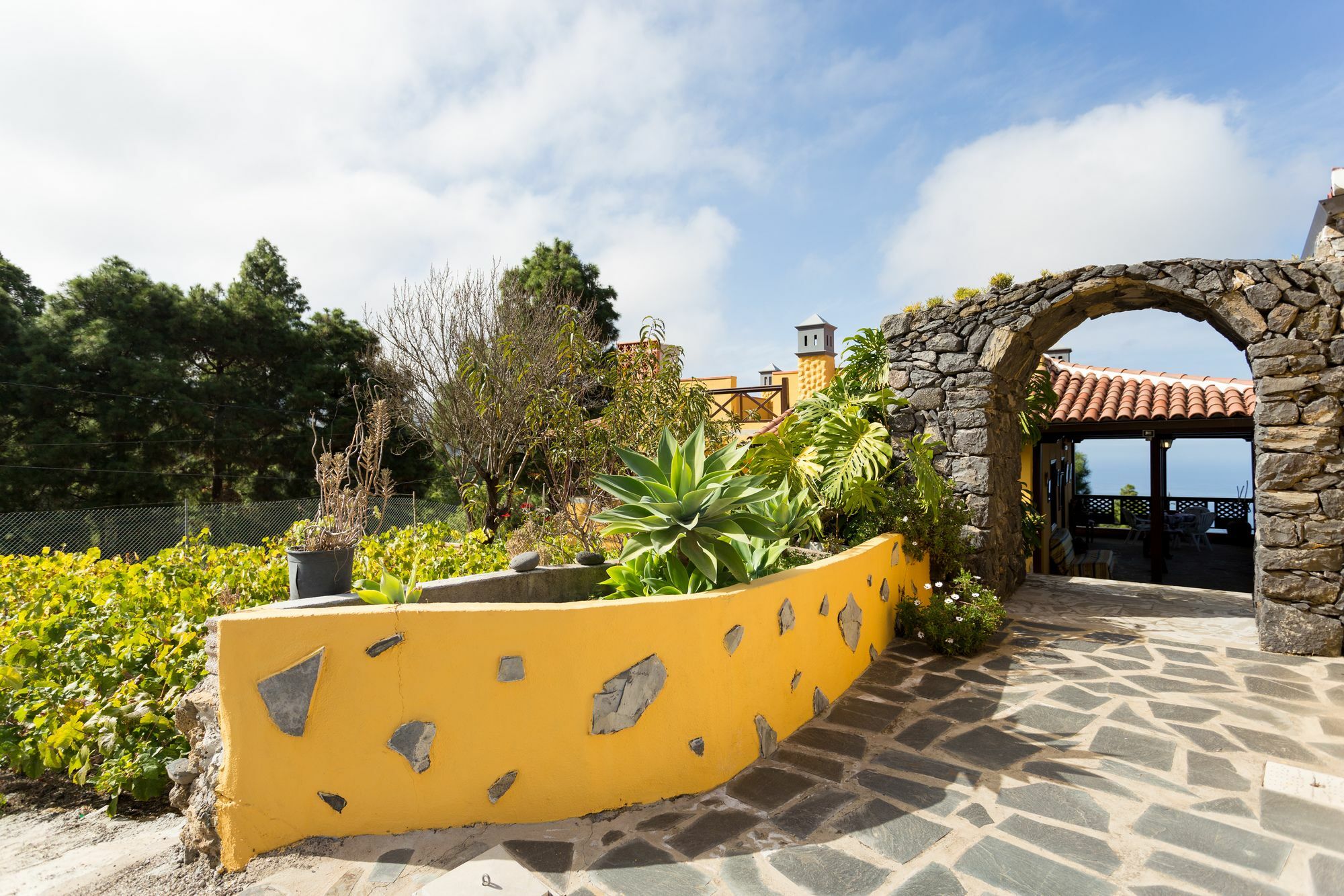 Finca Casa Yaya Icod De Los Vinos Buitenkant foto
