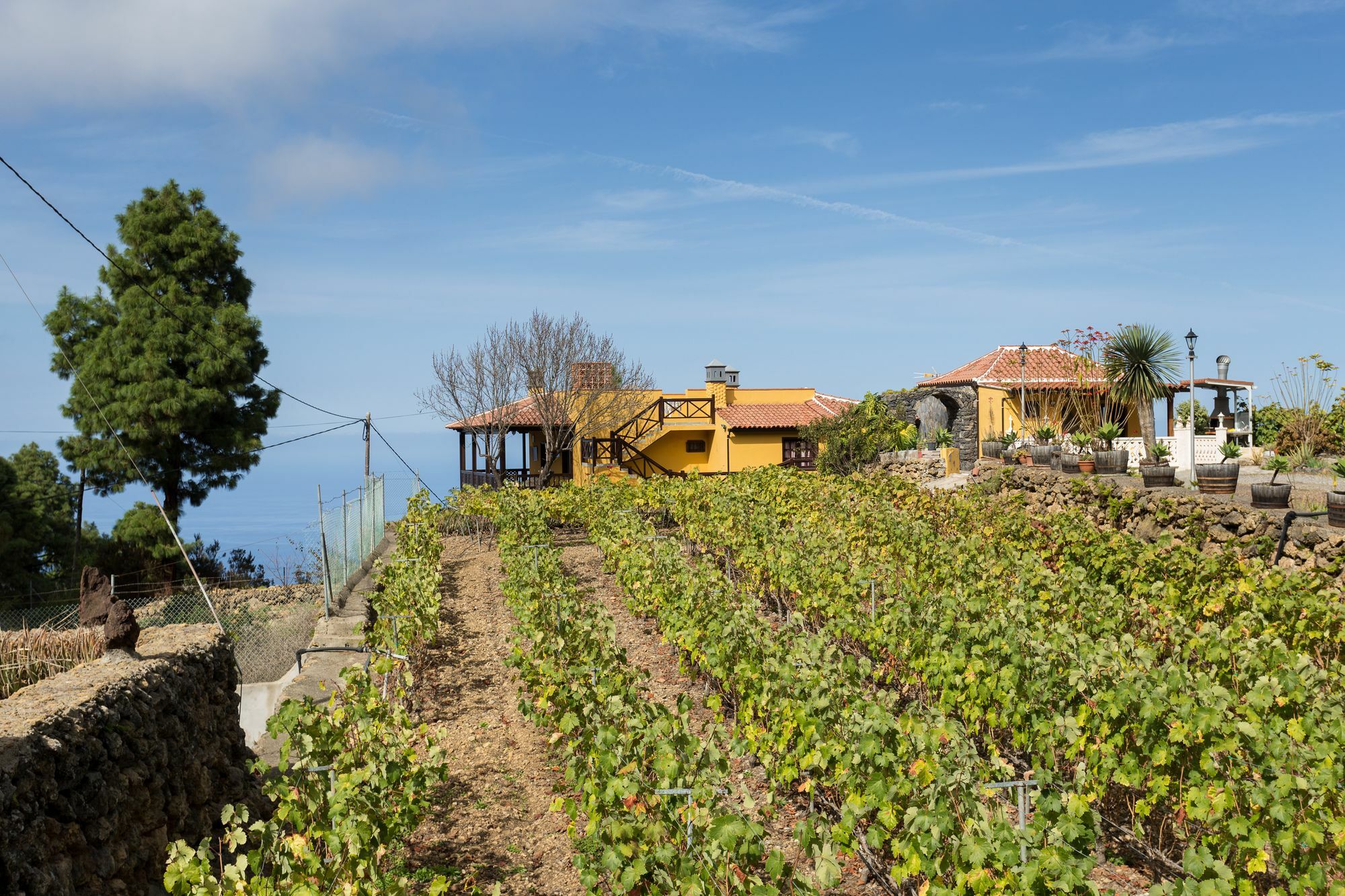 Finca Casa Yaya Icod De Los Vinos Buitenkant foto