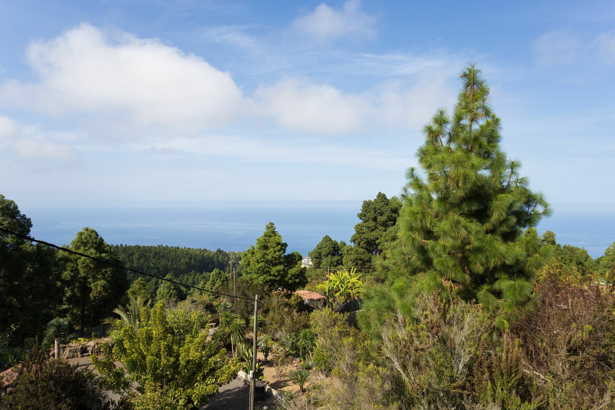 Finca Casa Yaya Icod De Los Vinos Buitenkant foto